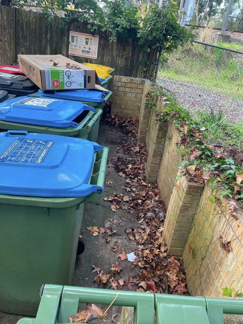 Bin room covered in leaves before cleaning