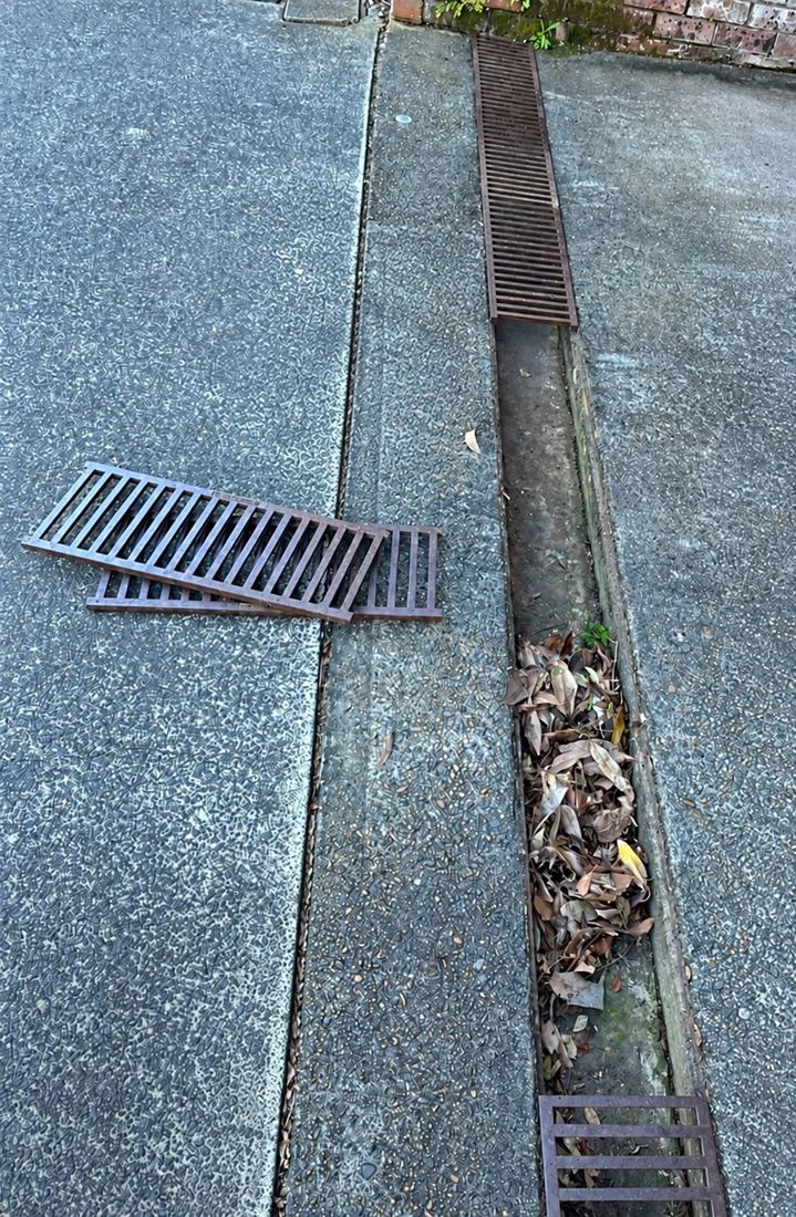 Driveway drain full of leaves before cleaning