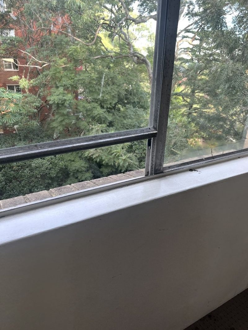 Clean window sill and frame after cleaning